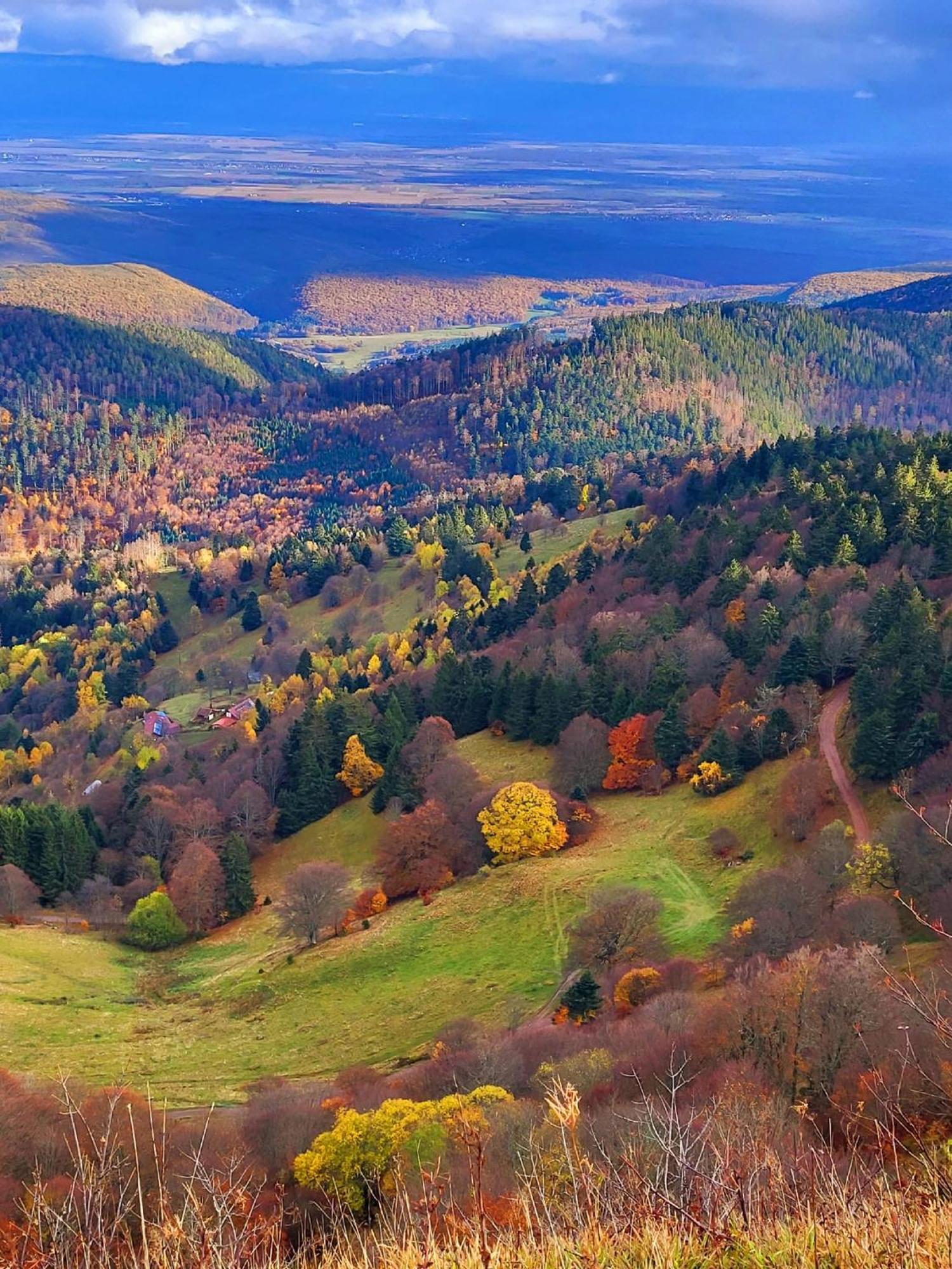 Le Panorama Du Murat Mulhouse Riedisheim 68 Haut-Rhin Alsace Saint-Louis Exterior foto